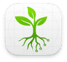 Smart Root Logo
